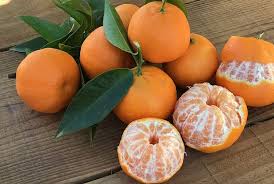 Mandarina  origen Tucuman