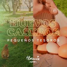 MAPLE HUEVOS UTT colorados