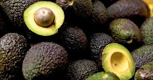 Palta Hass origen Tucuman