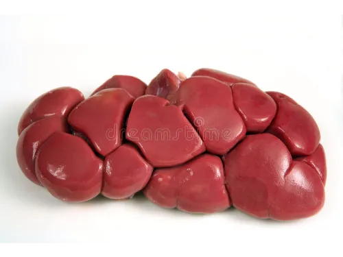 RIÑON X 500