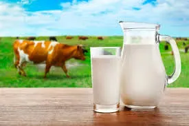 Leche Agroecologica x litro en envase de vidrio