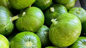 Zapallitos