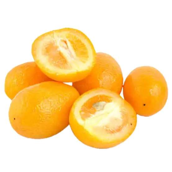 Quinotos kg