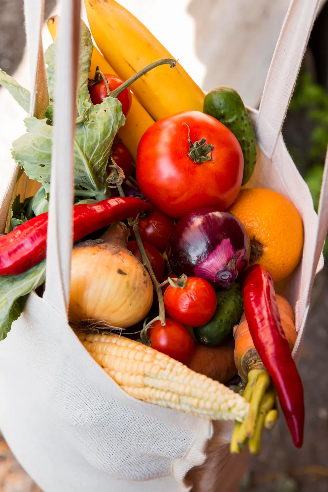 Bolson Mixto Verduras y frutas 100% Agroecologicas x 6 kilos