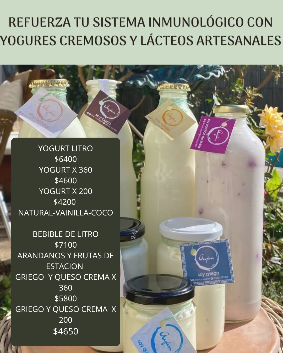 YOGURT BEBIBLE ARANDANOS  x LITRO