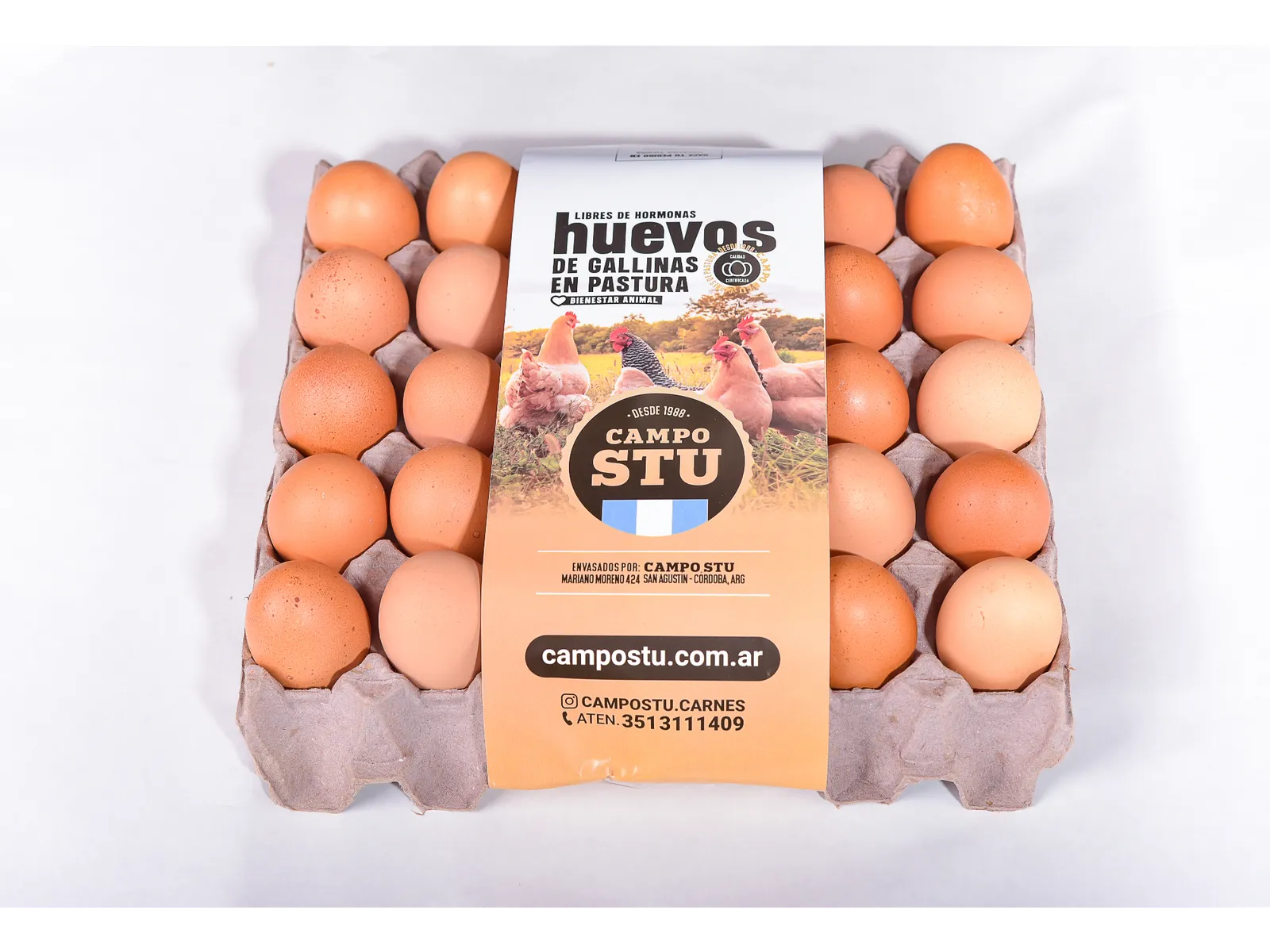 MAPLE DE HUEVOS  pastoriles tamaño grande