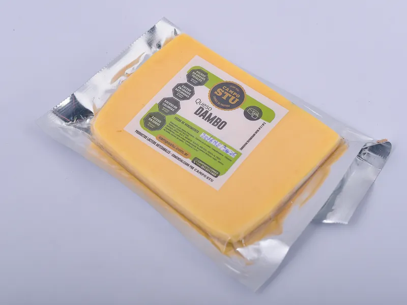 QUESO DAMBO PIEZA 300 GR