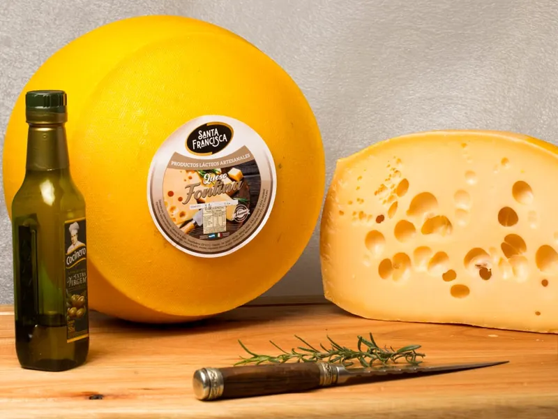 QUESO FONTINA 500 GR