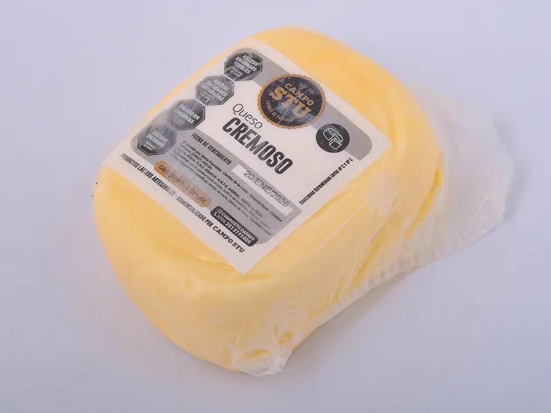 QUESO CREMOSO 500 GR