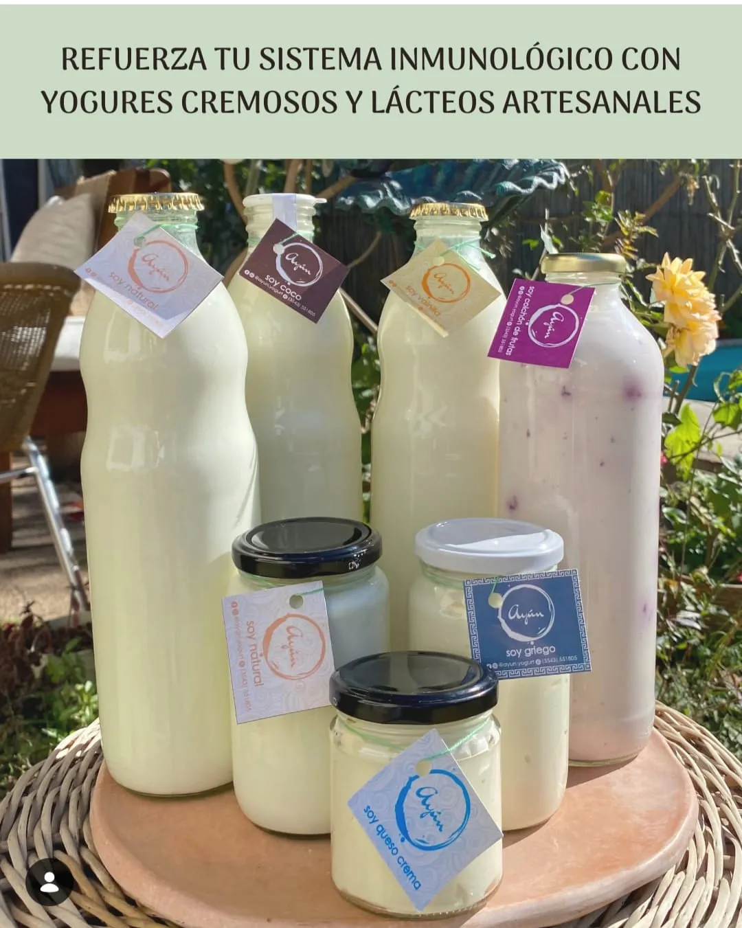 YOGURT CREMOSO NATURAL X LITRO SIN ENDULZAR
