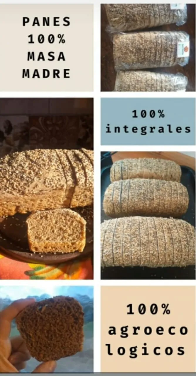 Pan de molde integral con masa madre x 500grs