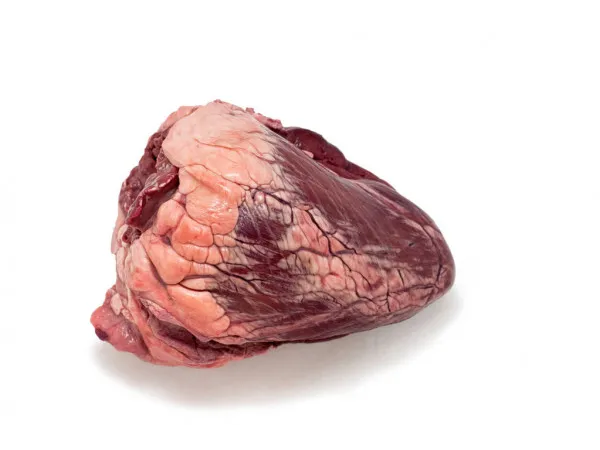 CORAZON